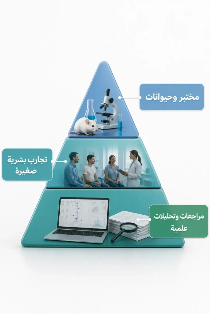 هرم مستويات الأدلة العلمية لدراسات المورينجا من المختبر إلى التحليلات التلوية