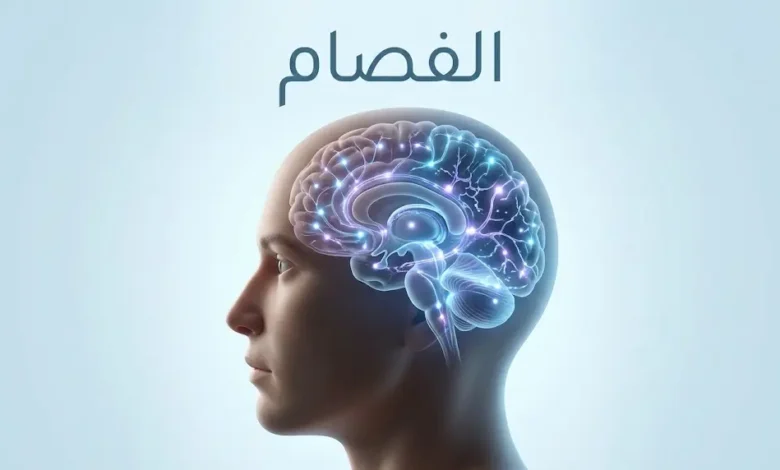 رسم طبي ثلاثي الأبعاد يوضح مفهوم الفصام واضطراب الإدراك في الدماغ