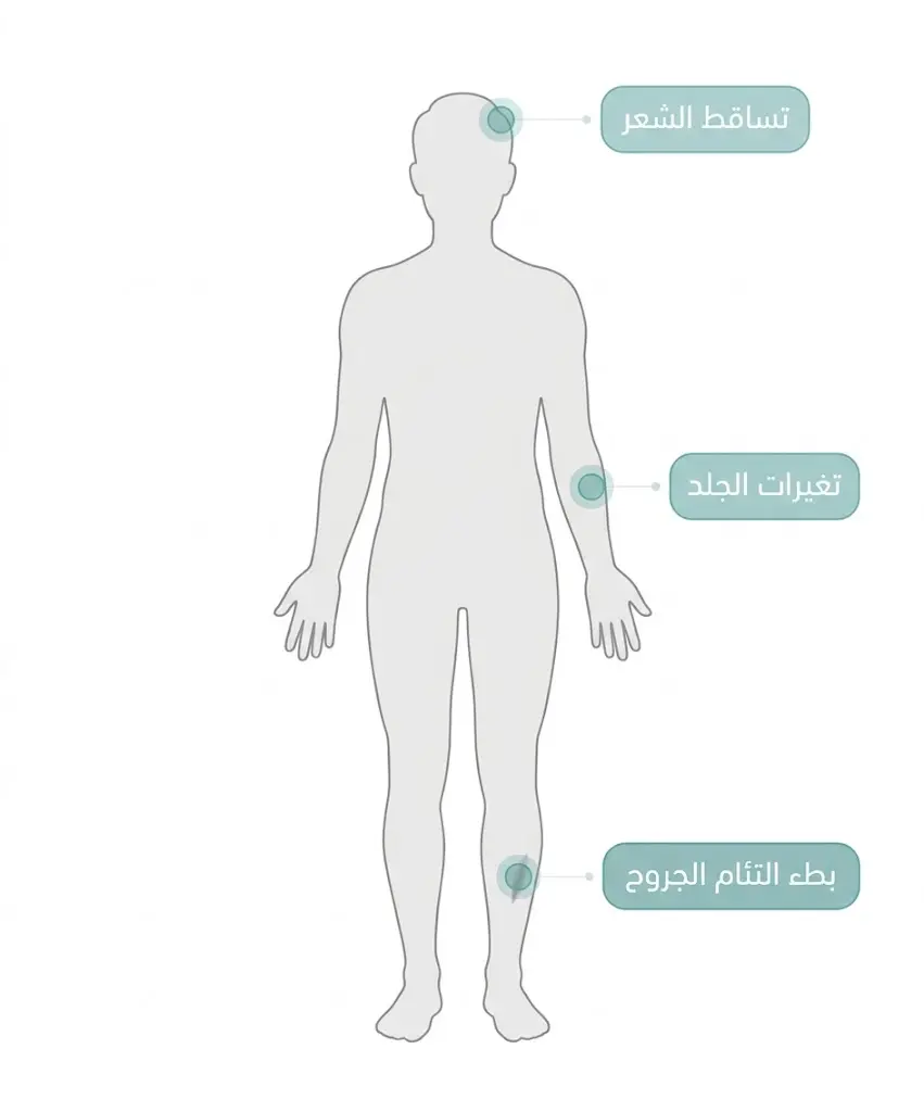 رسم تخطيطي محايد يوضح ثلاث مناطق جسدية قد تظهر عليها علامات محتملة لنقص الزنك: الشعر والجلد والتئام الجروح.