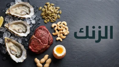 تشكيلة من أغنى مصادر الزنك الغذائية تشمل المحار واللحوم والمكسرات والبذور.